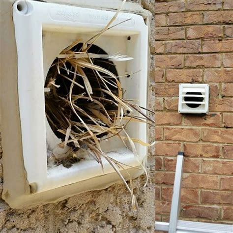 replacing outside dryer vent